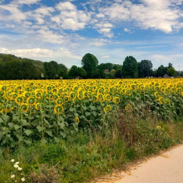 Bike tour from Vernon to Giverny with local guide - Pace, group size, and comfort: what your day feels like on the ground