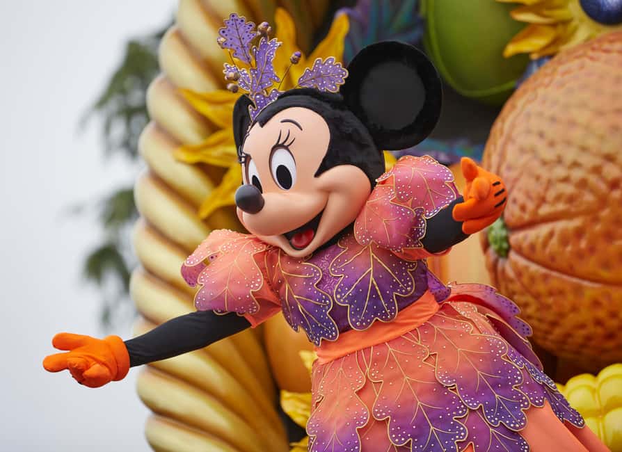 Disneyland® Paris 2/3/4-Day Ticket - Tickets in the real world: app use and entry that actually works