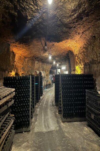 Exclusive Wine Day Trip Loire Valley from Paris - The morning handoff: pickup, van time, and how to prepare