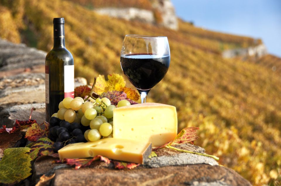 Exclusive Wine Day Trip Loire Valley from Paris - Who this tour suits best (and who should choose another plan)