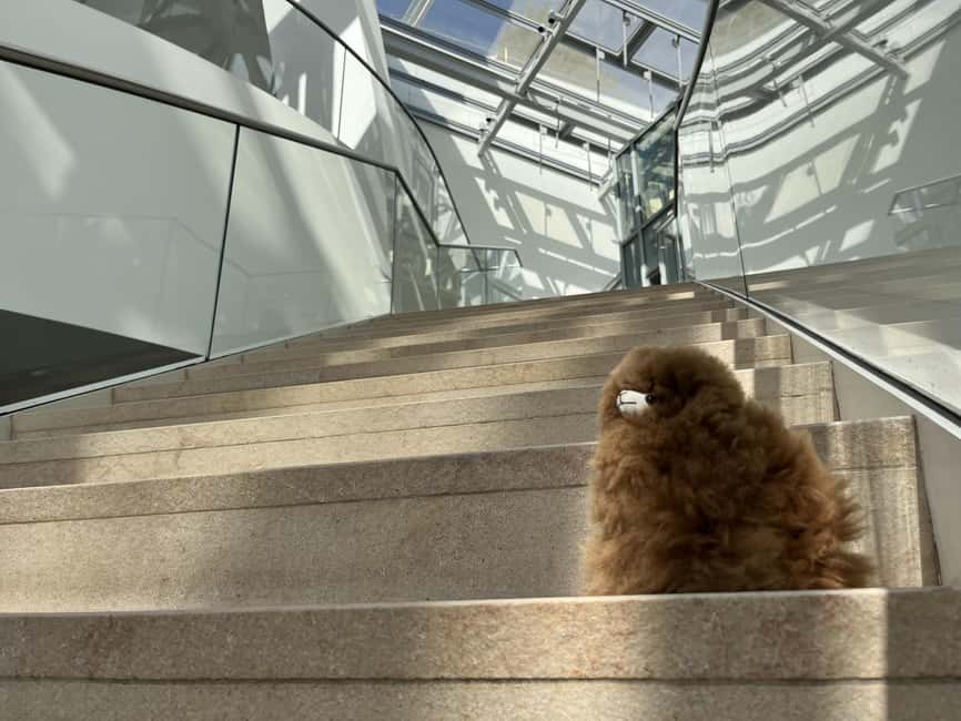 Fondation Louis Vuitton: Ticket Entry & Private Tour - Frank Gehry’s sails: what you should pay attention to inside