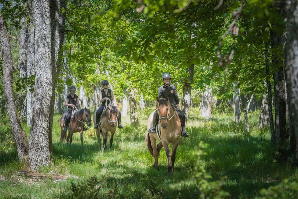 Fontainebleau : Horse-riding, Gastronomy & Château - Key Highlights You’ll Care About