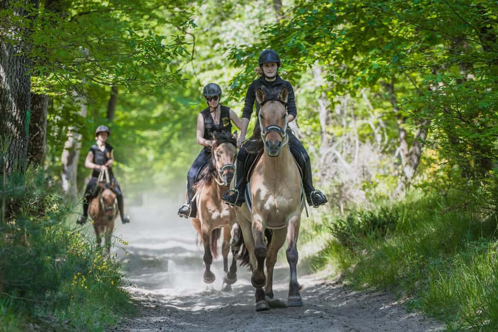 Fontainebleau : Horse-riding, Gastronomy & Château - Tips to Make the Day Feel Easy