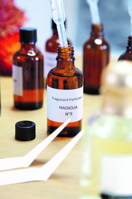 Fragonard Paris: Mini Perfume Workshop in Chinese - The perfume pyramid: learning what you smell before you mix anything