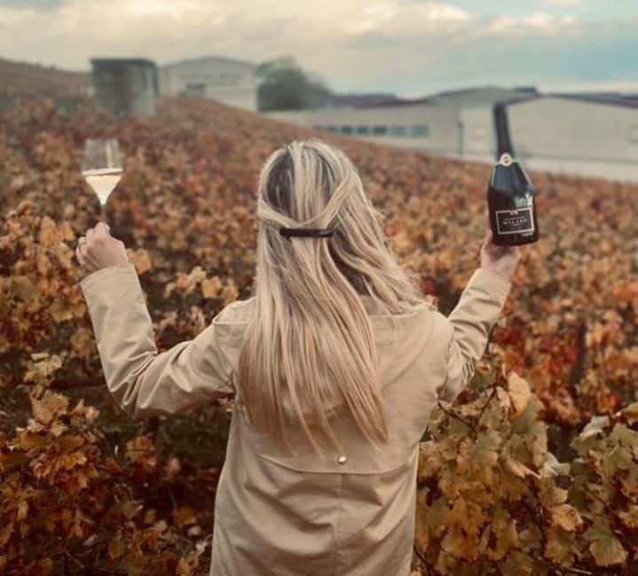 From Paris: Champagne Day Trip with 7 Tastings and Lunch - The 7 tastings: what you should pay attention to