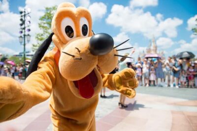 From Paris: Disneyland 1-Day Ticket & Private Transfer - Disneyland Park: Parades, Fireworks, and Storybook Gardens