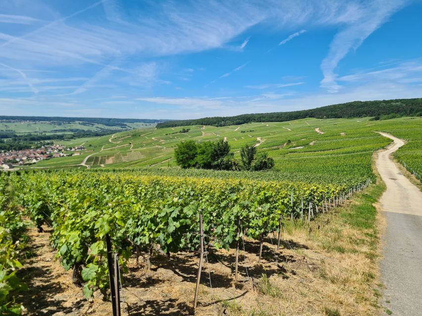 From Paris: Prestige Champagne Tour and Tastings - Who should book this Prestige Champagne Tour from Paris