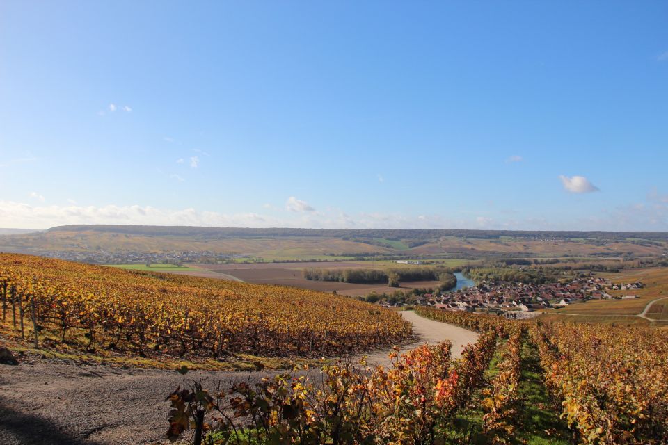 From Paris: Prestige Champagne Tour and Tastings - Lunch at a Michelin-star château restaurant: the high point or the letdown?