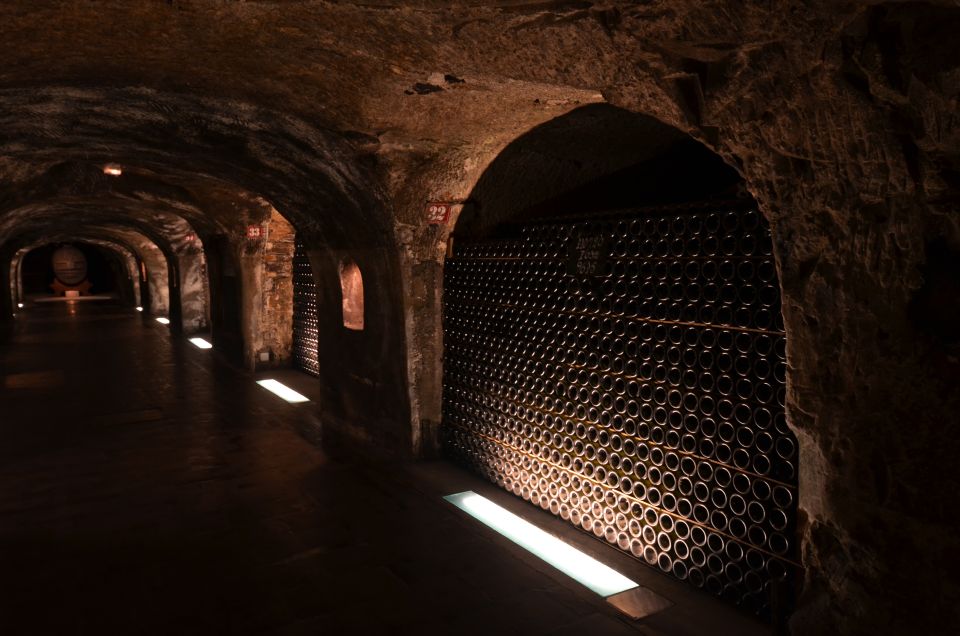 From Paris: Prestige Champagne Tour and Tastings - The second visit: boutique producer tastings with a craft-focused lens