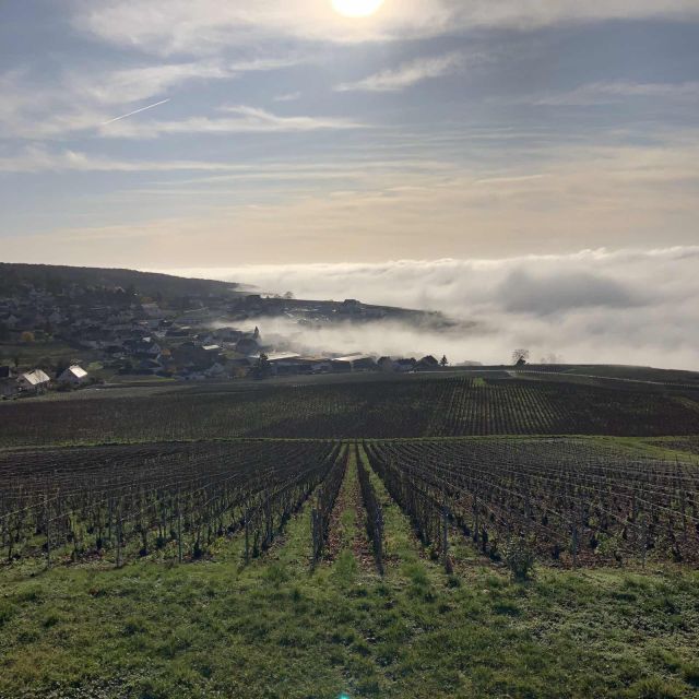 From Paris: Reims and Champagne Tasting Full-Day Tour - The Marne photo stop and the vineyard-side finish