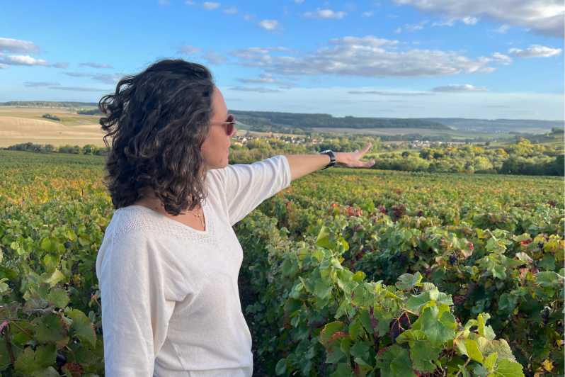 From Paris: Wine Day trip to SANCERRE w 10 Tastings & Lunch - Key highlights worth making time for