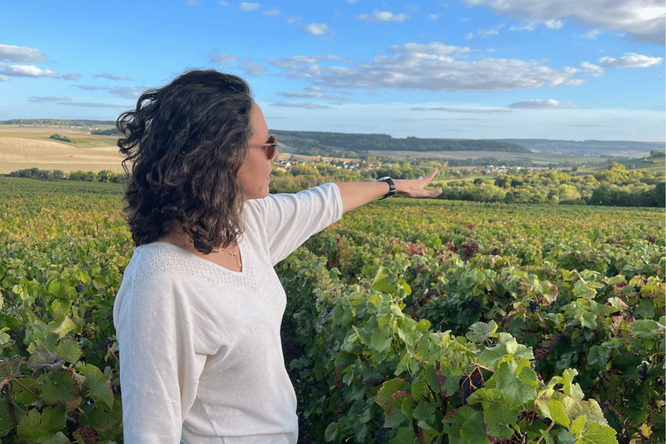 From Paris: Wine Day trip to SANCERRE w 10 Tastings & Lunch - From Paris to Sancerre: a small-group day that actually fits