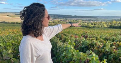 From Paris: Wine Day trip to SANCERRE w 10 Tastings & Lunch - Learning the three terroirs: Les Calcaires, Les Terres Blanches, Les Silex