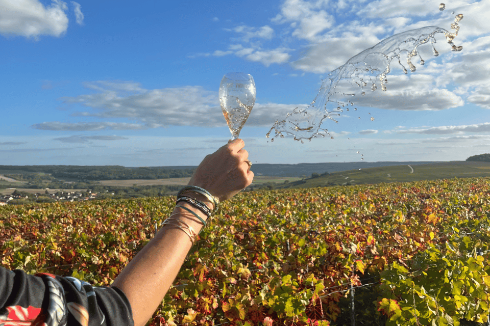 From Paris: Wine Day trip to SANCERRE w 10 Tastings & Lunch - Two family-run wineries, cellar time, and how tastings are paced
