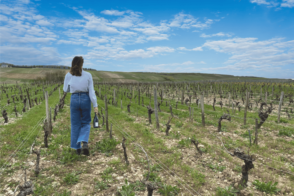 From Paris: Wine Day trip to SANCERRE w 10 Tastings & Lunch - Lunch pairing at a winery plus Crottin de Chavignol
