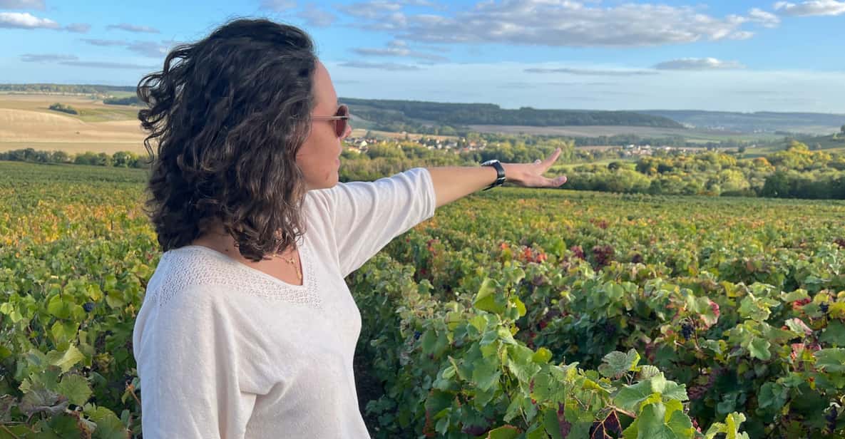 From Paris: Wine Day trip to SANCERRE w 10 Tastings & Lunch - Learning the three terroirs: Les Calcaires, Les Terres Blanches, Les Silex