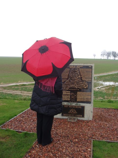 From Paris: WWI Somme Battlefields Full-Day Tour - A practical way to reach the Somme from Paris