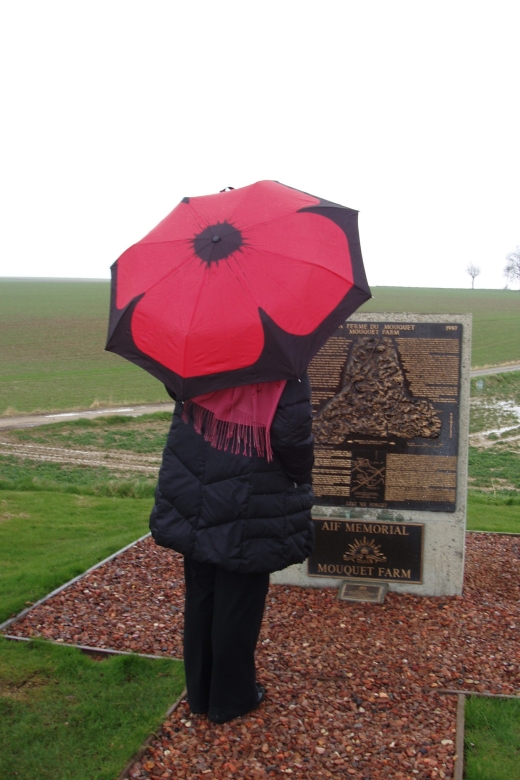 From Paris: WWI Somme Battlefields Full-Day Tour - Historial Museum in Péronne: why the context is built around everyday objects