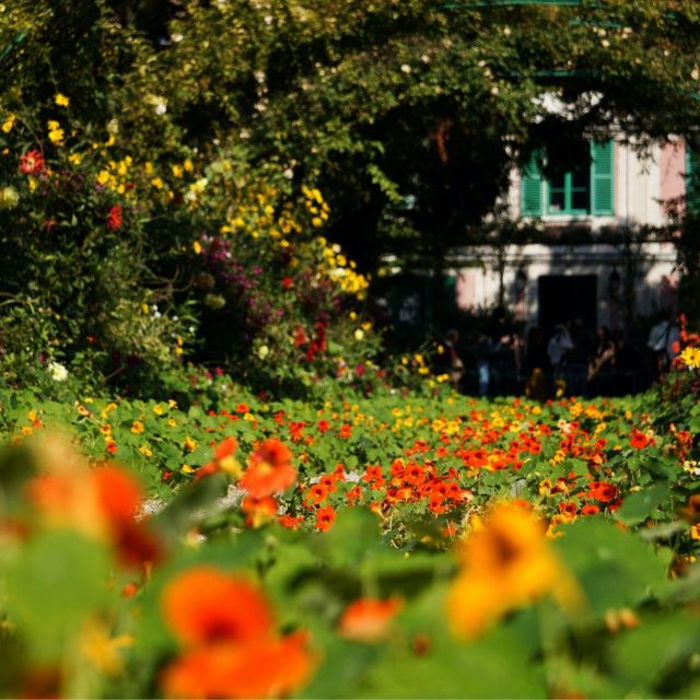 Giverny : Monet's house & Gardens Private tour from Paris - How the guide shapes your visit (including kids and photos)