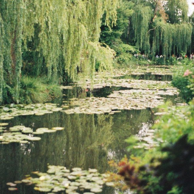 Giverny : Monet's house & Gardens Private tour from Paris - Who this Monet private tour is best for