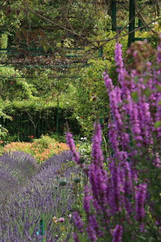Giverny Private Guided Walking Tour - Quick Take: What Makes This Tour Worth Your Time