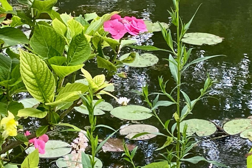 Giverny Versailles Trianon Small Group by Minivan from Paris - The drive to Versailles: context delivered on the way