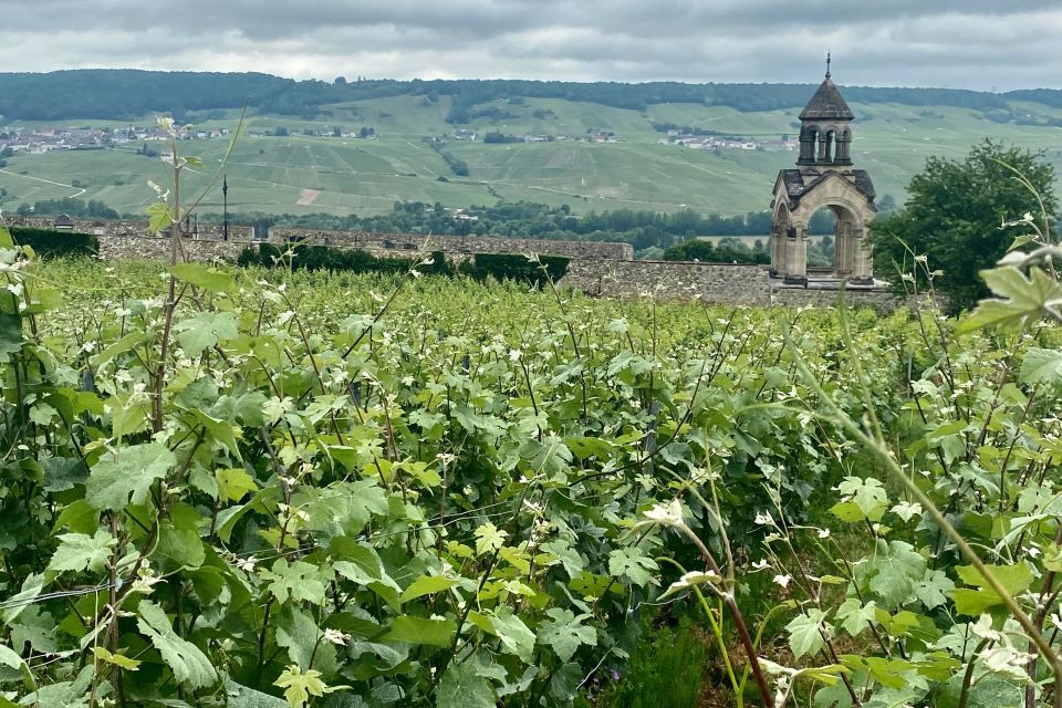 Grand Vintage Private Champagne Moet Chandon Veuve Clicquot - Hautvillers viewpoint, Saint-Pierre d’Hautvillers, and the Dom Pérignon link