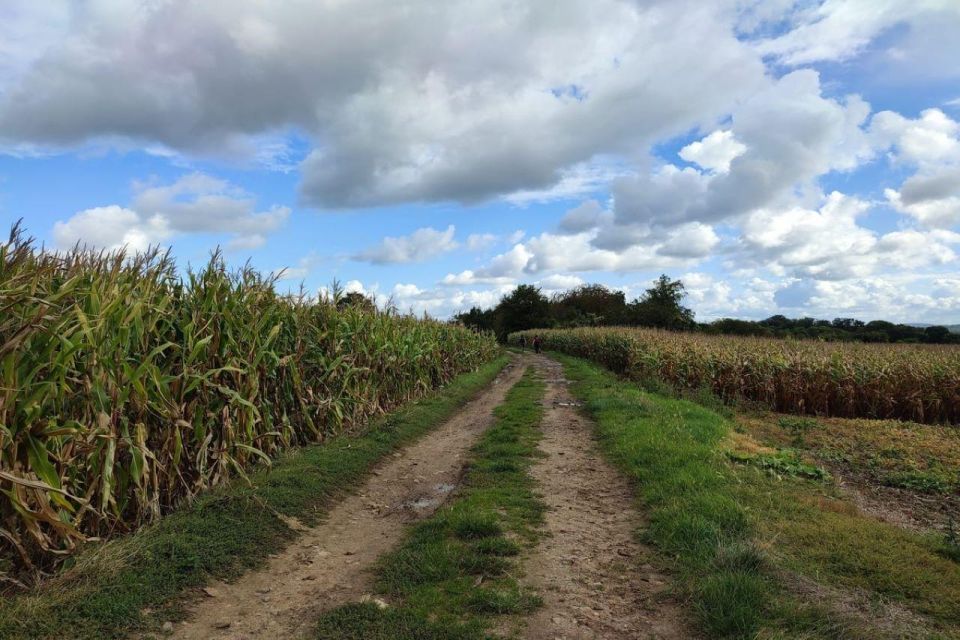 Hiking Adventure in Van Gogh's footsteps (6 miles walk) - A 40-minute train break from Paris to Vexin
