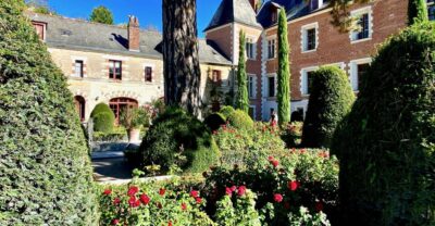Loire Valley Castles: Chenonceau, Amboise & Da Vinci Trip - Chenonceau’s River Views and the “Ladies’ Castle” Story