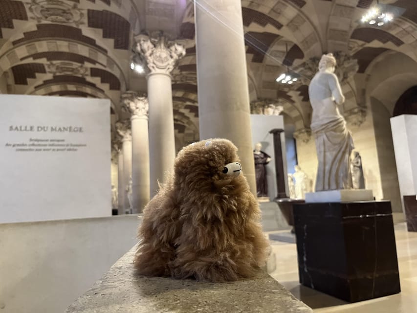 Louvre Museum Entry Ticket and Private Guided Tour - Photo rules and small-bag reality: practical tips that matter