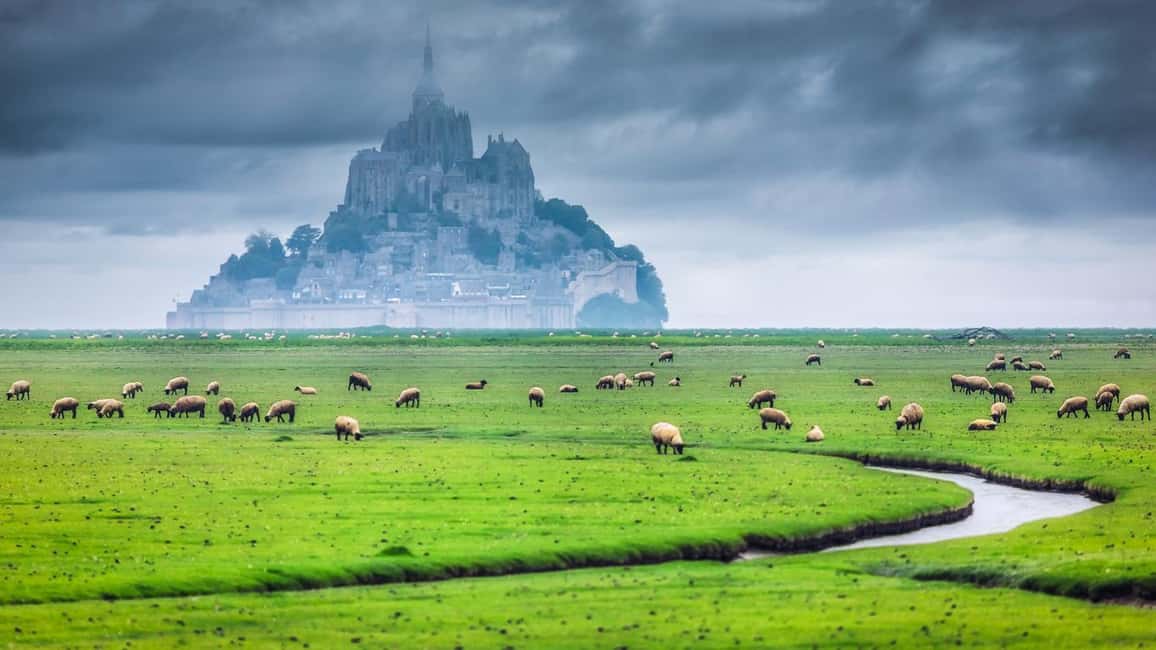 Mont Saint-Michel Small-Group Day Trip from Paris with Abbey Ticket - Normandy drive-to-story: how the bay’s tides shape what you’ll see