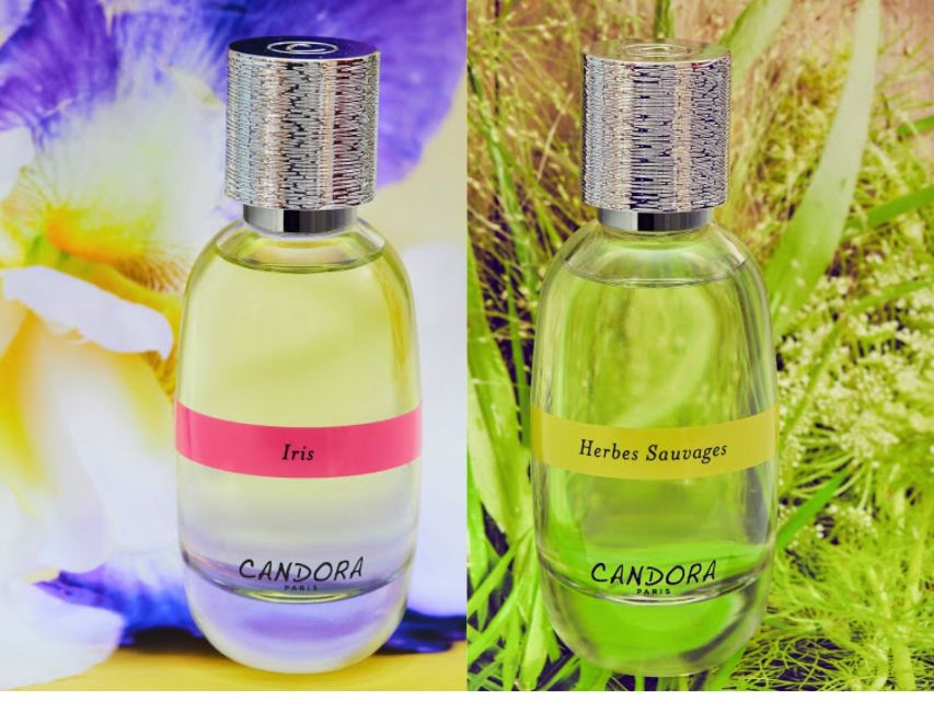 Paris: 2-Hour Perfume Creation Workshop - Finding the workshop near Île Saint-Louis (and why timing matters)