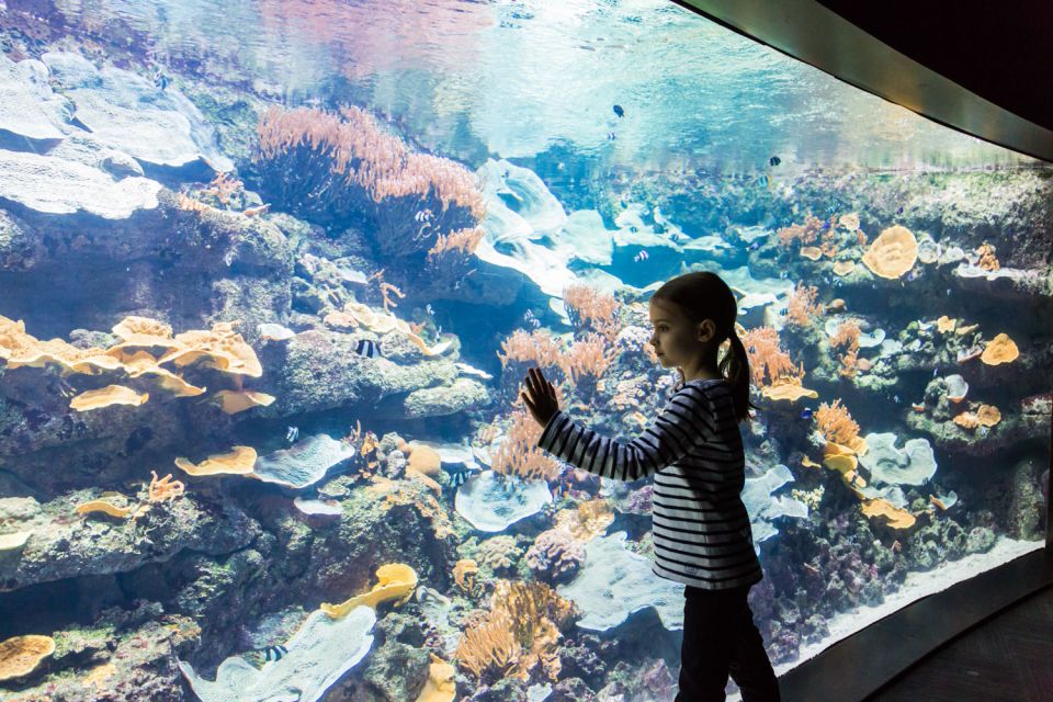 Paris: Aquarium de Paris Entrance Ticket - Who should book this Aquarium de Paris ticket?