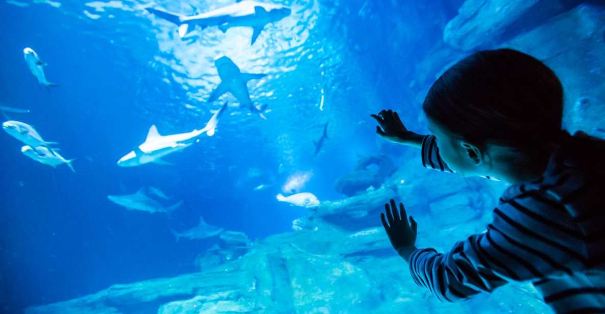 Paris: Aquarium de Paris Entrance Ticket - Aquarium de Paris at Trocadéro: A smart rainy-day plan with real wow moments