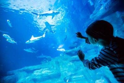 Paris: Aquarium de Paris Entrance Ticket - Tickets, skip-the-line entry, and how self-guided it really feels