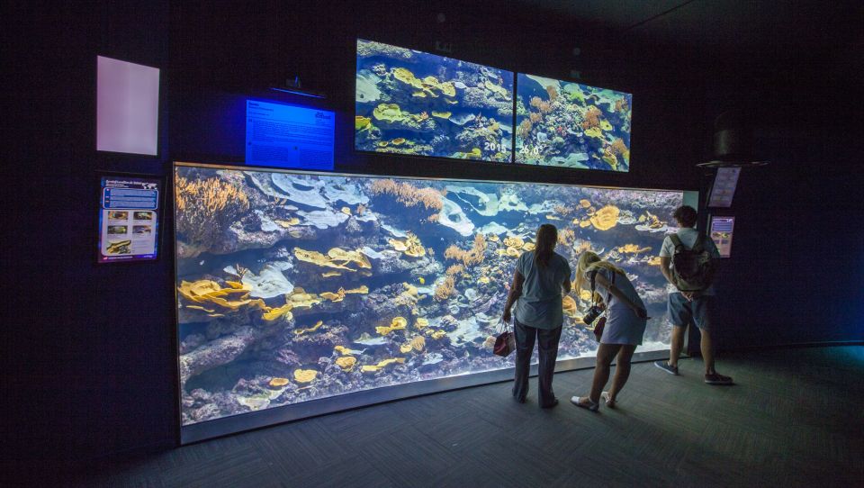 Paris: Aquarium de Paris Entrance Ticket - Price and value: worth it if you want interaction and spectacle, not if you need a giant collection
