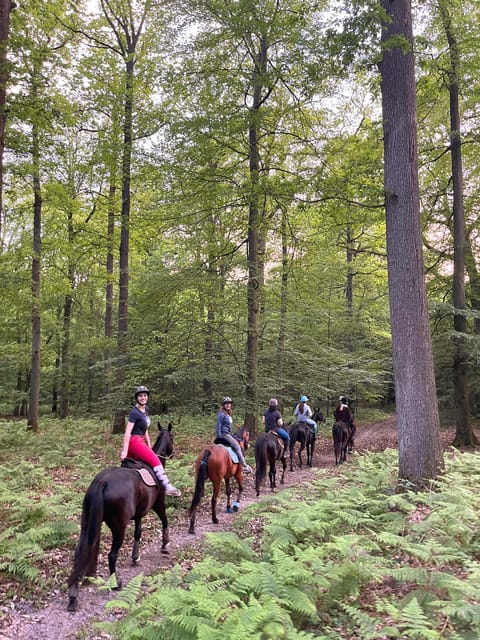 Paris: Aumont-en-Halatte Horseback Riding Tour - Riding in the Woods: What the Experience Feels Like