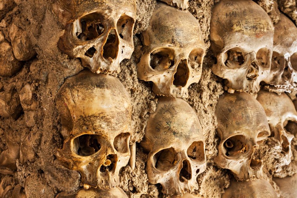 Paris: Catacombs Ticket and Seine River Cruise - What the Audio Guide Does (and What You Should Expect)