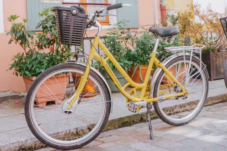 Paris: Day Bike Rental - Build your day around bike lanes, back streets, and big sights