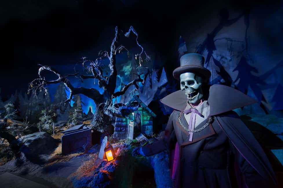 Paris: Disneyland Paris Ticket with Transfer - Character moments and the princess magic you actually came for