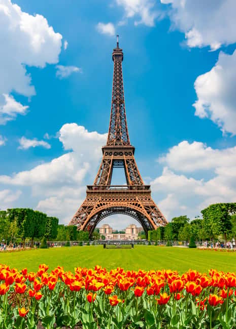 Paris: Eiffel Tower Guided Tour|Summit & second floor access - The Second-Floor Elevator and Observation Decks (Where the Best Landmarks Click)