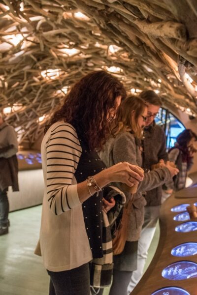Paris: French Wine Experience in Parisian Cellar - How the audio-guided morning tour works (and why it’s good value)