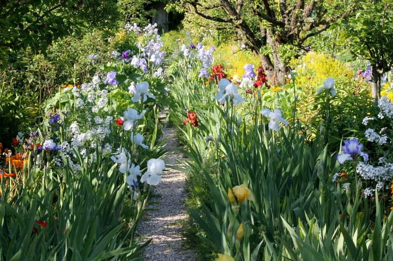 Paris: Giverny Gardens Day Trip with Professional Tour Guide - Quick reasons this Giverny day feels worth it