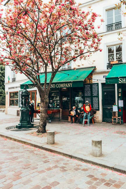 Paris: Latin Quarter Essential Highlights Walking Tour - Price and value for a short Latin Quarter tour