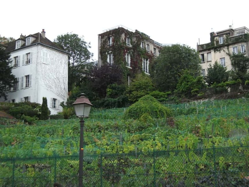 Paris: Montmartre Private Walking Tour - Meeting at Metro Blanche and getting oriented fast