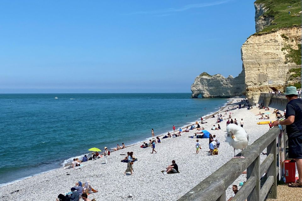 Paris: Normandy Rouen, Honfleur and Etretat Small-Group Tour - Price and value at $454 per person: what you’re really paying for
