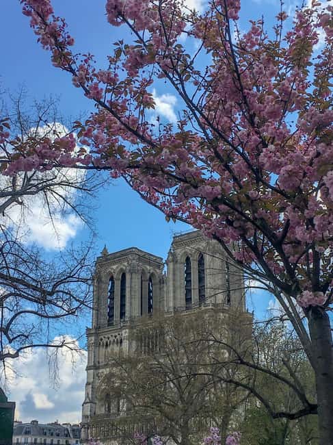 Paris: Notre Dame Exteriors and Ile de la Cité Walking Tour - The Conciergerie and Palais de Justice: Where History Gets Sharp