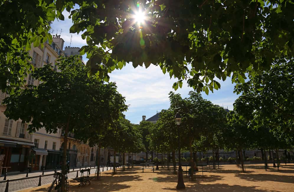 Paris: Notre Dame Outside Tour and Sainte Chapelle Ticket - Tour pace, group comfort, and practical tips