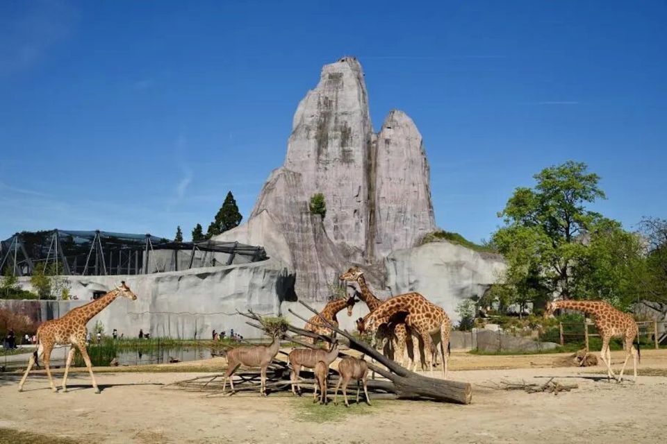 Paris: Paris Zoological Park Entrance Ticket - Key Things That Make This Zoo Ticket Worth It