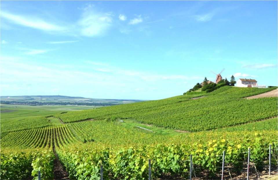 Paris: Private Day Trip to Champagne with 8 Tastings & Lunch - Lunch With Champagne Pairings: Food That Actually Teaches Your Palate